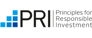 The UN Principles for Responsible Investment (PRI)